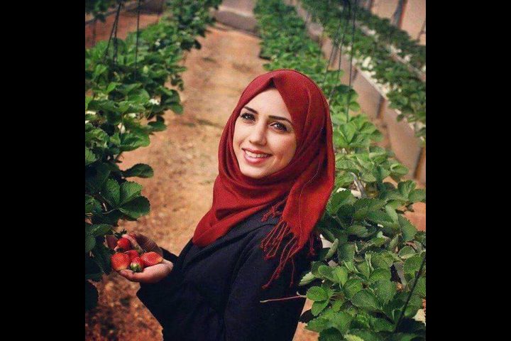 سناء .. مهندسة "الفراولة المعلقة" (صور)