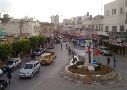 طولكرم: العلاج الطبي والمصدر الغذائي الطبيعي يتهددهما الإنقرض