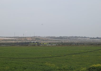 بيت حانون بلا ربيع وزهرها يتحول الى سنابل قمح