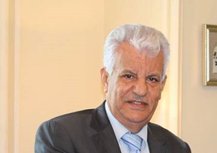 الشوبكي: ليس هناك حلولًا جديدة لفلسطين بالقمة العربية