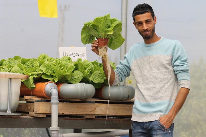 المحلول الغذائي سر نجاح باسل في مشروعه الزراعي