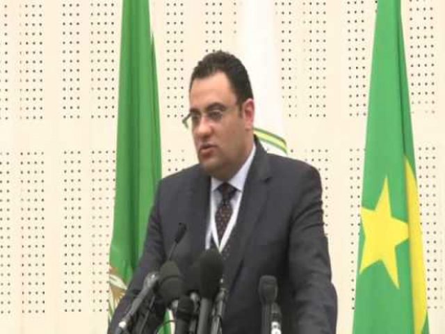 عفيفي: توافق عربي على مشاريع قرارات العمل الاقتصادي والاجتماعي المشترك