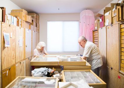 أمريكيان يتبرعان بحشرات محنطة بملايين الدولارات