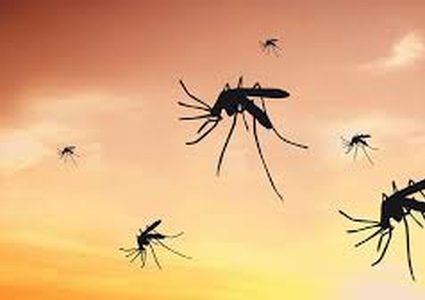 لسعة حشرة تسبب شلل دماغي