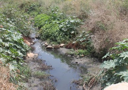 الاتيرة: الاستيطان يلوث حياة الفلسطينيين