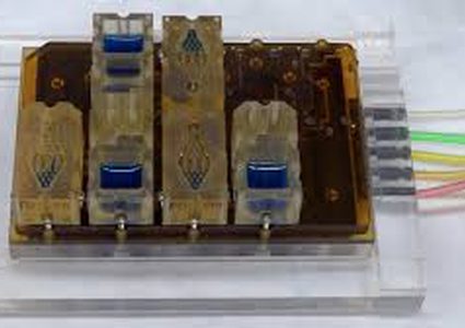 إنجاز علمي لفهم سبب العقم والإجهاض