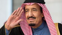 الملك سلمان: التدخلات الخارجية انتهاك لسيادتنا