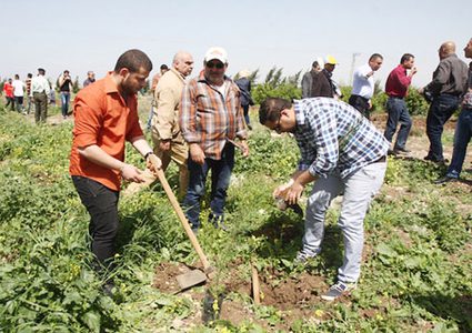 فعالية لزرع أشتال الزيتون بيوم الأرض في الخليل اليوم