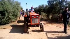 مصرع فتى في انقلاب جرار زراعي بطولكرم