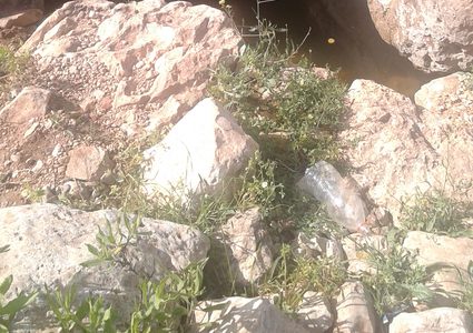 عيون ماء الزاوية كنز مائي طي الإهمال