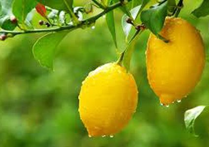 فوائد الليمون للبشرة