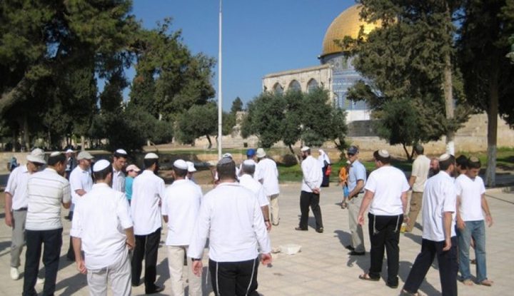 مفتى القدس: الأقصى يناديكم