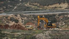 الاحتلال يقتلع أشجارًا في وادي قانا