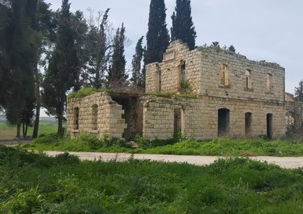 لماذا أجل "مهرجان الربيع" الثامن؟