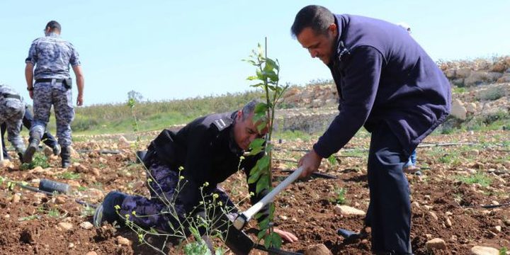 قلقيلية: زراعة الاشجار بمناسبة يوم الارض