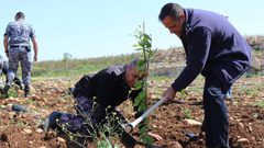 قلقيلية: زراعة الاشجار بمناسبة يوم الارض