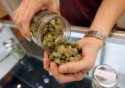 الأوروغواي تبيع الحشيش في الصيدليات