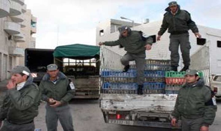 الضابطة تتلف 300 كغم من البصل في قلقيلية
