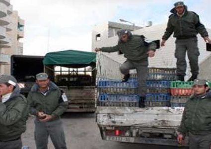 الضابطة تتلف 300 كغم من البصل في قلقيلية