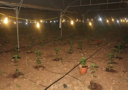 عنف أسري يتحول لملف مخدرات