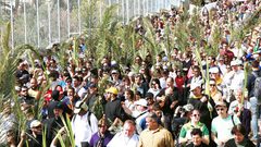 الفلسطينيون الأرثوذكس يحتفلون بأحد الشعانين