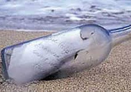 إليكم مضمون رسالة عثر عليها بعد 20 عاماً