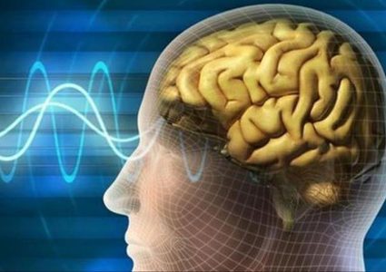 ما هو سر كراهية الأصوات في الدماغ