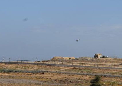 وادي" الدوح" بين الحمامات الضائعة يأبى النسيان