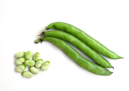 الفول الأخضر مفيد لصحة القلب