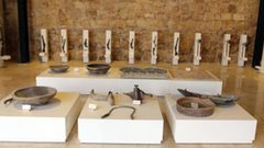 متحف فلسطين للتاريخ الطبيعي الاول من نوعه عربياً