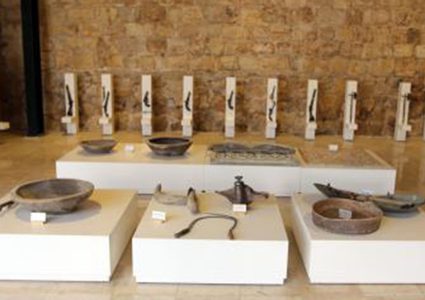 متحف فلسطين للتاريخ الطبيعي الاول من نوعه عربياً