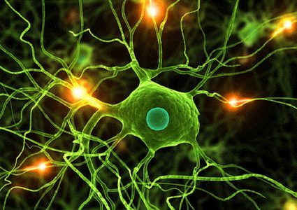 تخليق خلايا المخ لعلاج الشلل الرعاش