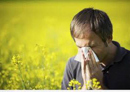 دراسة: توقيت موسم الحساسية يختلف من بلد لآخر