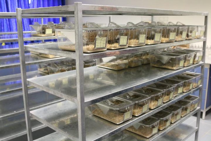 في جامعة النجاح .. سابقة نوعية بالبحث العلمي (صور)