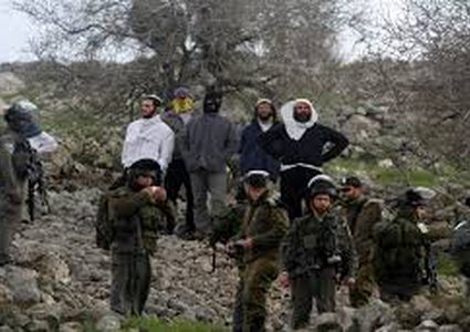 فشل متواصل بالتحقيق في الإجرام الأيديولوجي