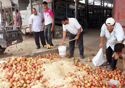 ضبط تفاح فاسد في طولكرم