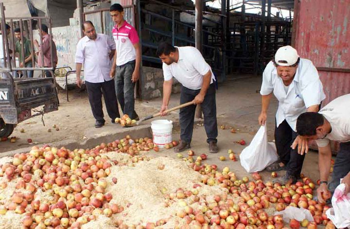 ضبط تفاح فاسد في طولكرم