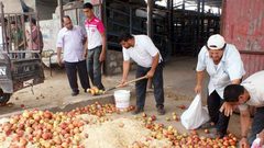 ضبط تفاح فاسد في طولكرم