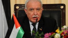 المالكي: استنفار دبلوماسي دفاعاً عن حقوق الأسير