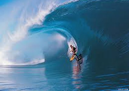 رياضة الأمواج وخطر يهدد اللاعبين بسبب سمك القرش