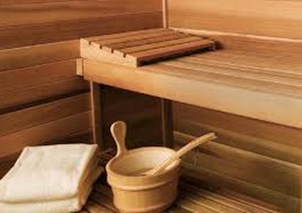 مقتل أم وابنتها بسبب "الساونا"