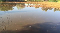 الاحتلال يغرق أراضي زراعية شرق بيت لحم بالمياه العادمة