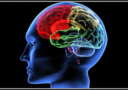 جهاز يربط المخ بالكمبيوتر يفيد في الحالات الخطيرة