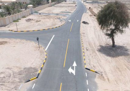 تحويل طريق في الإمارات بسب شجرة معمرة