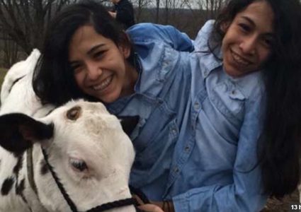 توأم ملتصق ترفضان الانفصال رغم خطر الموت