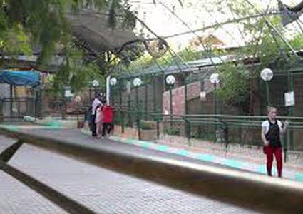 هذا ما قاله والد الطفل وقاس الصيفي