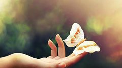 وداعًا للشعر الزائد