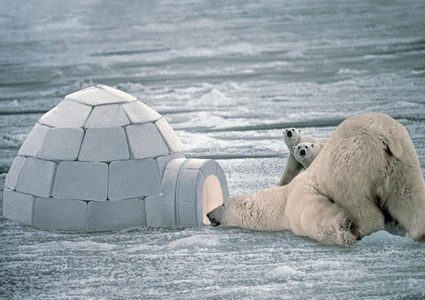 ذوبان القطب الشمالي سيكبد الاقتصادي العالمي ترليونات الدولارت