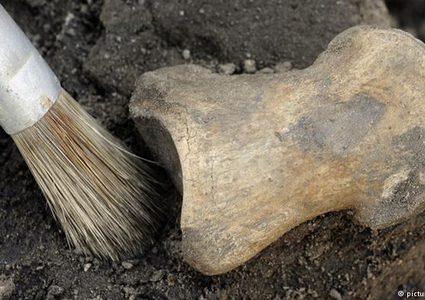 إكتشاف آثار للبشر قبل العصر الجليدي