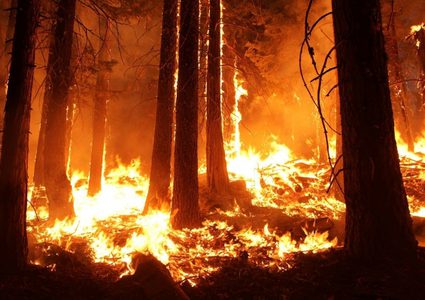 ولاية جورجيا: حريق يحتاج 6 اشهر لإخماده